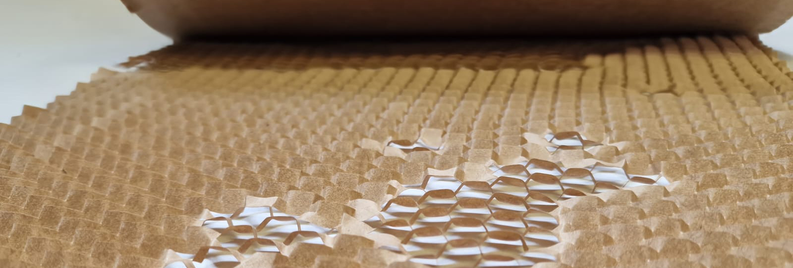 honey-comb-close